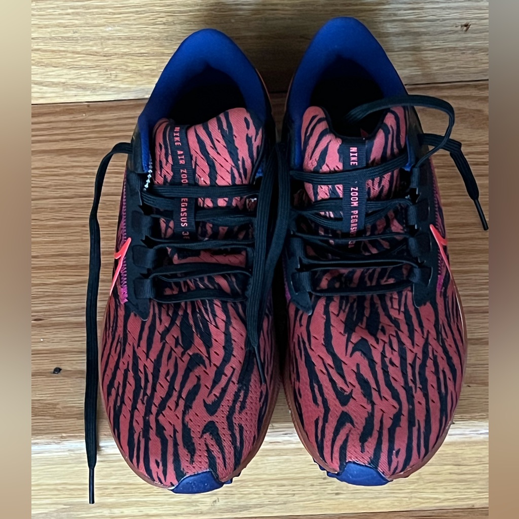 Nike Air Zoom Pegasus 38 Women’s Shoes